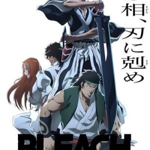 Bleach: Thousand-Year Blood War - The Conflict